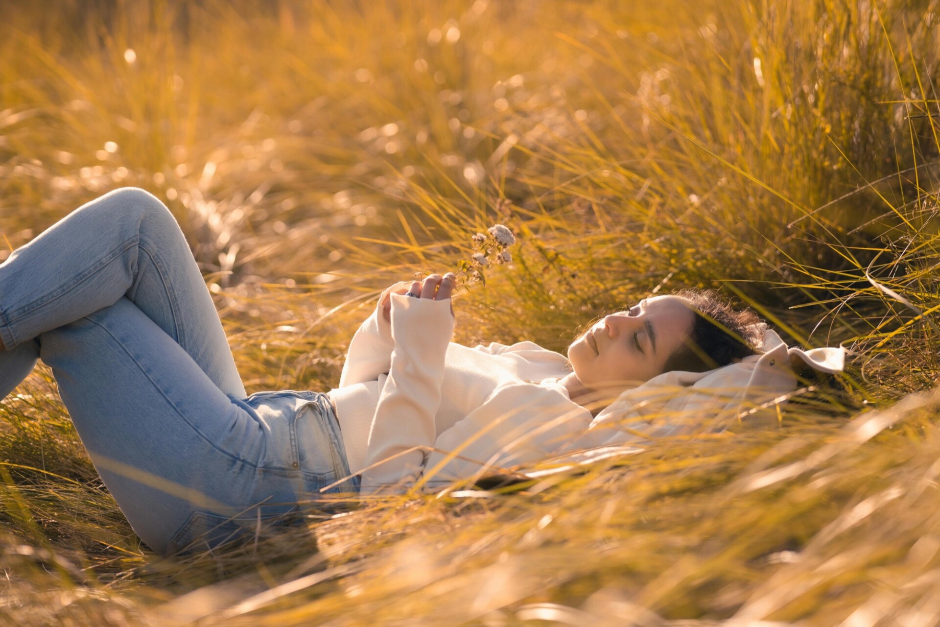 pexels-julio-lopez-75309646-29469443